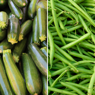 Cassetta Mista con Fagiolini e Zucchine Bio