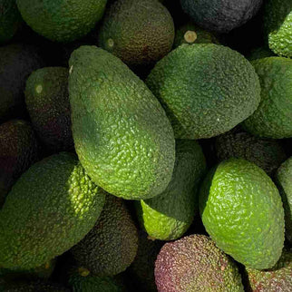 Avocado Hass Bio Siciliano