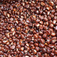 Castagne "Marroni"